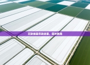 艾欧维雷尽致逆袭，回冲胜局