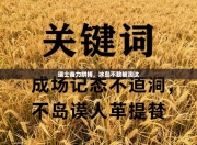 瑞士奋力拼搏，冰岛不敌被淘汰