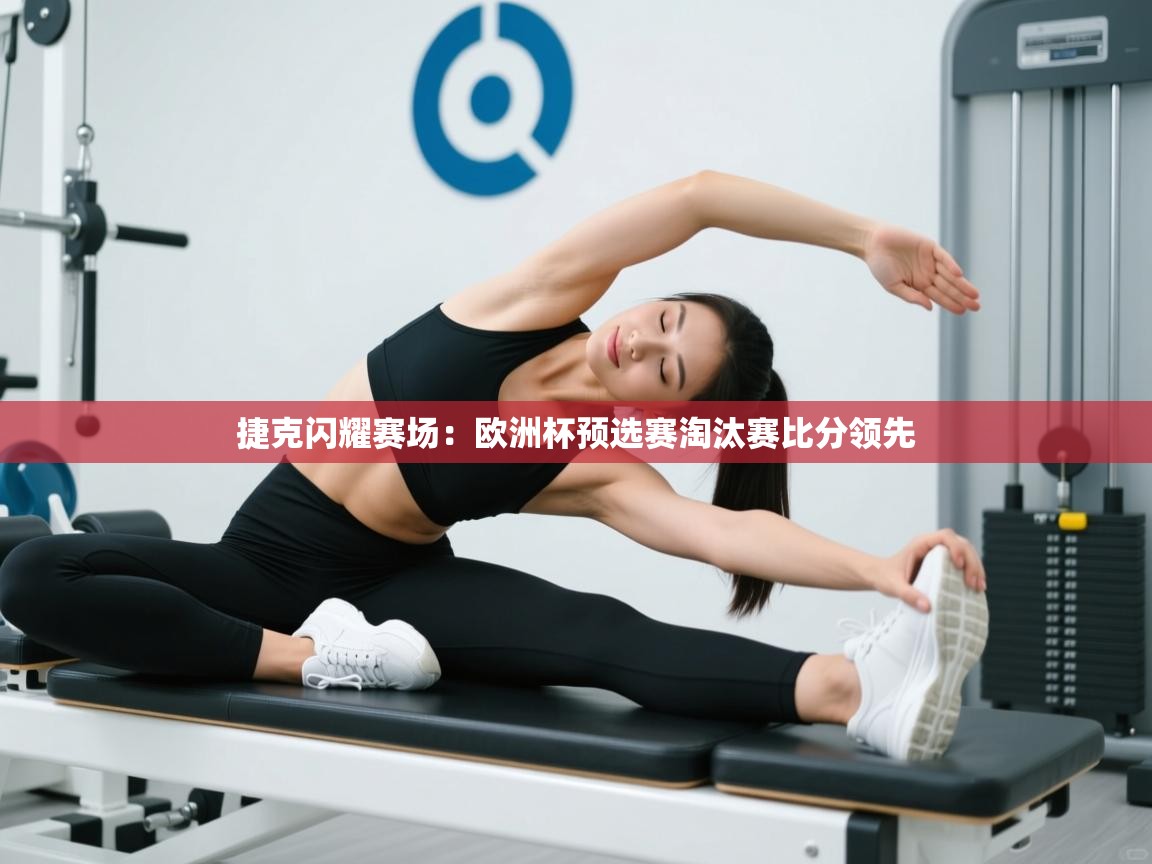 捷克闪耀赛场：欧洲杯预选赛淘汰赛比分领先  第2张