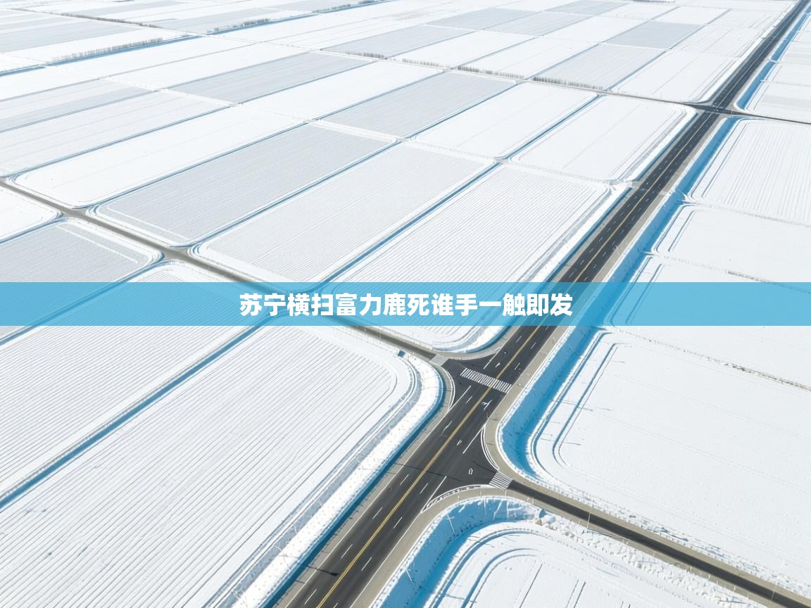 苏宁横扫富力鹿死谁手一触即发 第1张